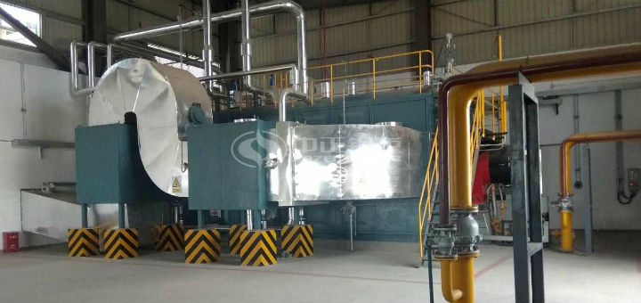 中煙施偉策20噸燃?xì)庹羝仩t項(xiàng)目