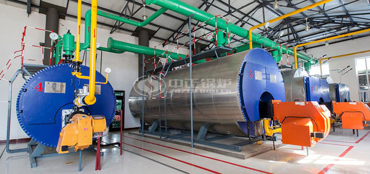 陜西好貓卷煙10噸燃?xì)庹羝仩t項(xiàng)目